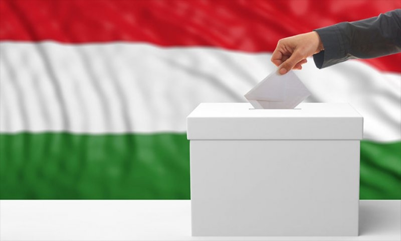 Választási ügyfélfogadás rendje