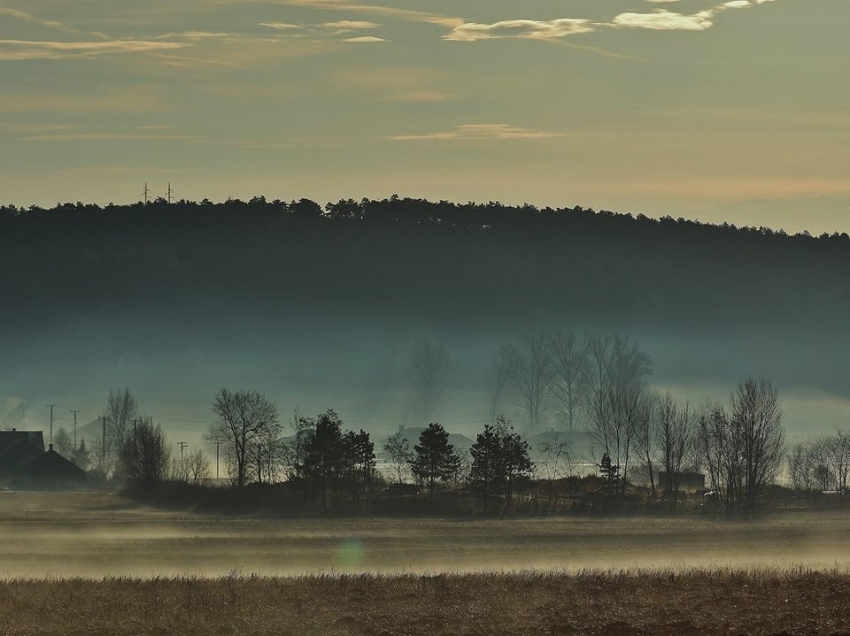 Ködös reggel