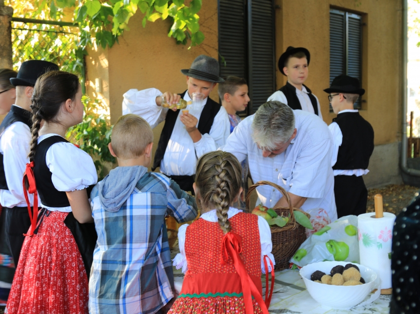 VII.Litéri szilvaünnep