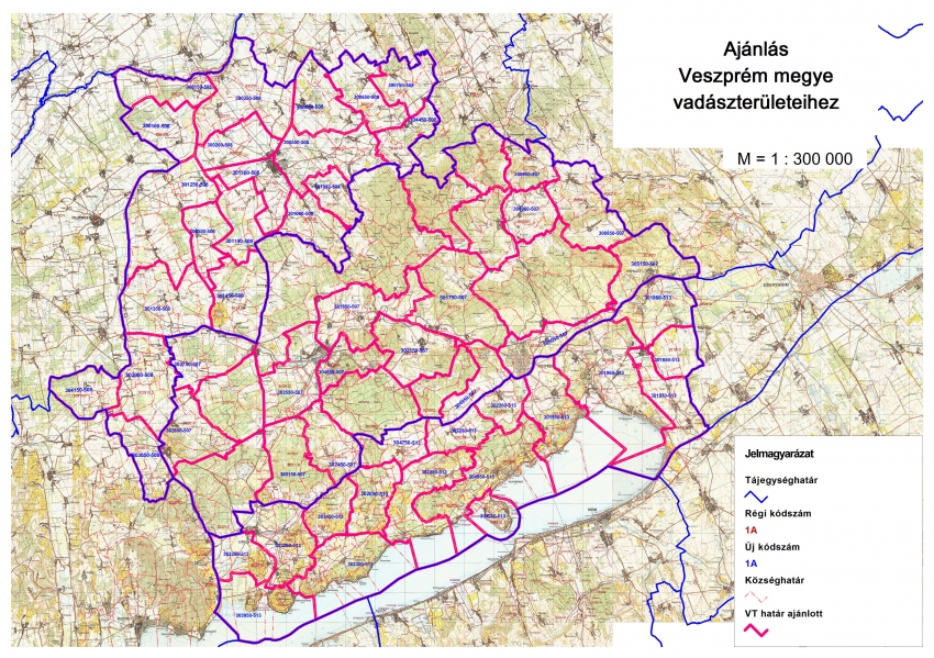 Vadászterület határára vonatkozó ajánlás!