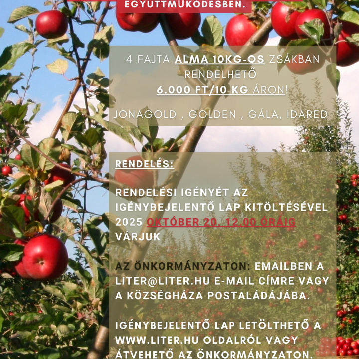 Almavásár Litéren!