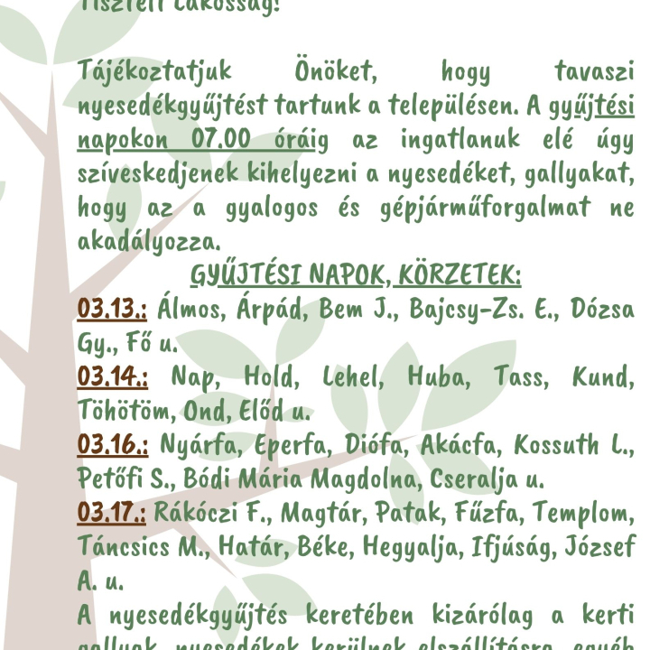 Tavaszi nyesedékgyűjtés LItéren!